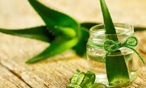 Aloe Vera Yağı