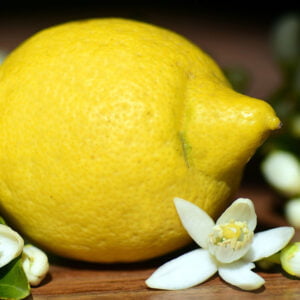 Limon Çiçeği Esansı